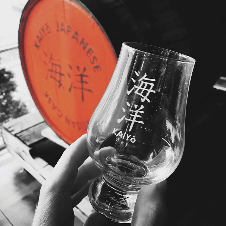 澳门历史记录查询结果